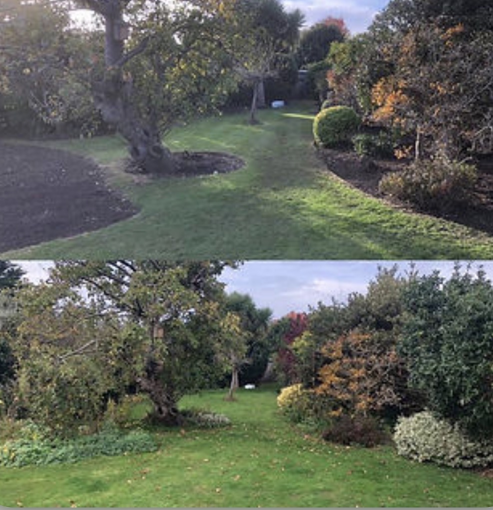 All season Garden Care work photo 2