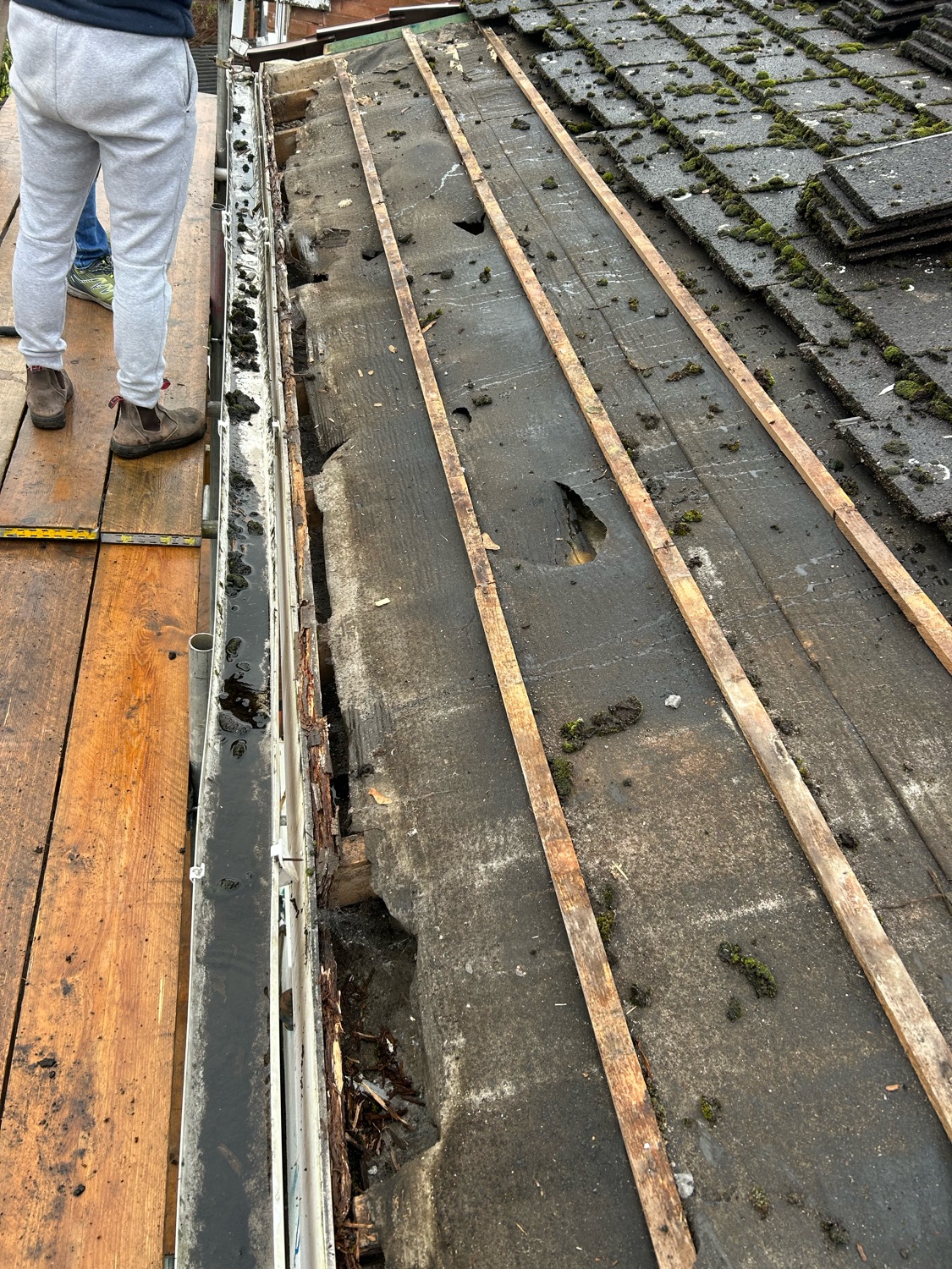 Rooftrust work photo 2
