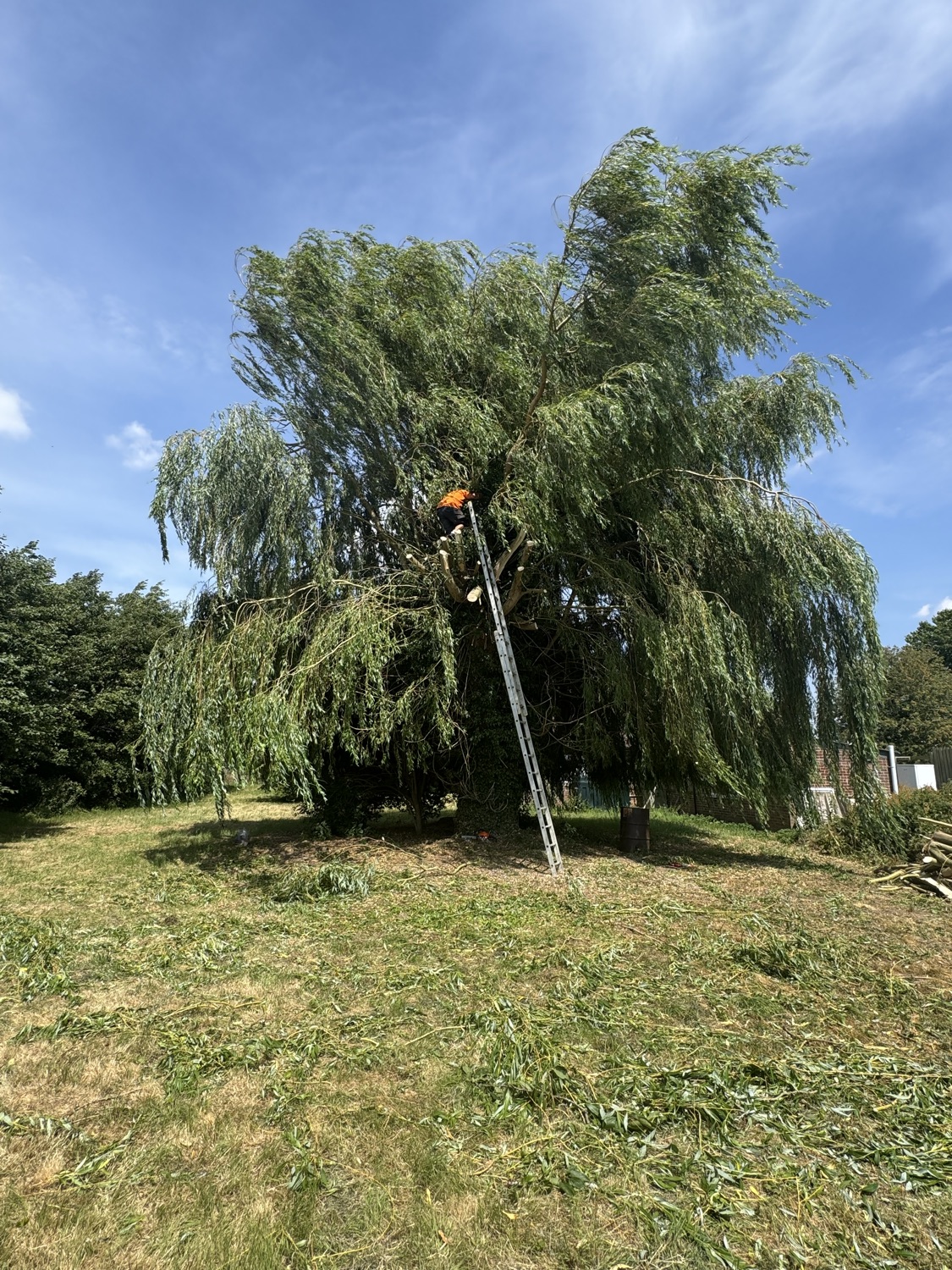 Harrison's And Son's Property Maintenance work photo 3