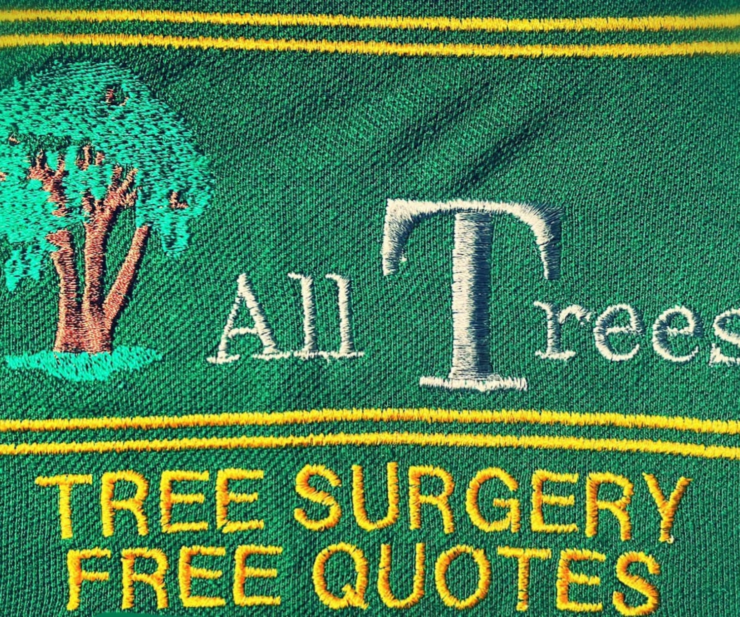 ALL TREES & LANDSCAPING