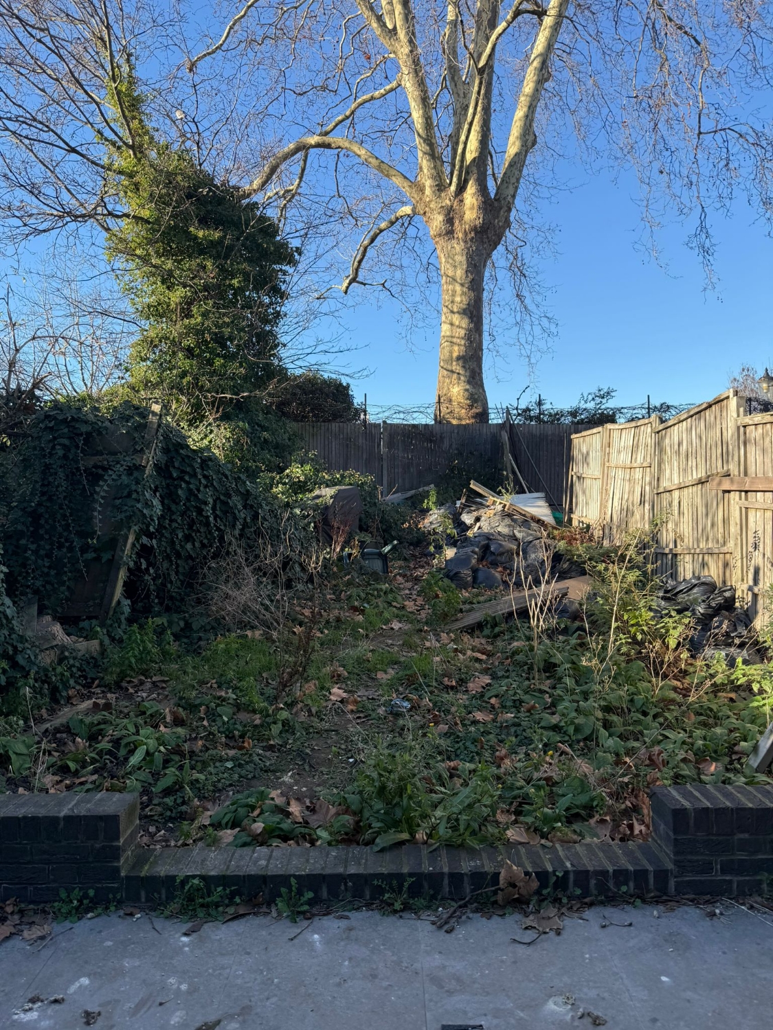 Ward Tree & Gardens work photo 3