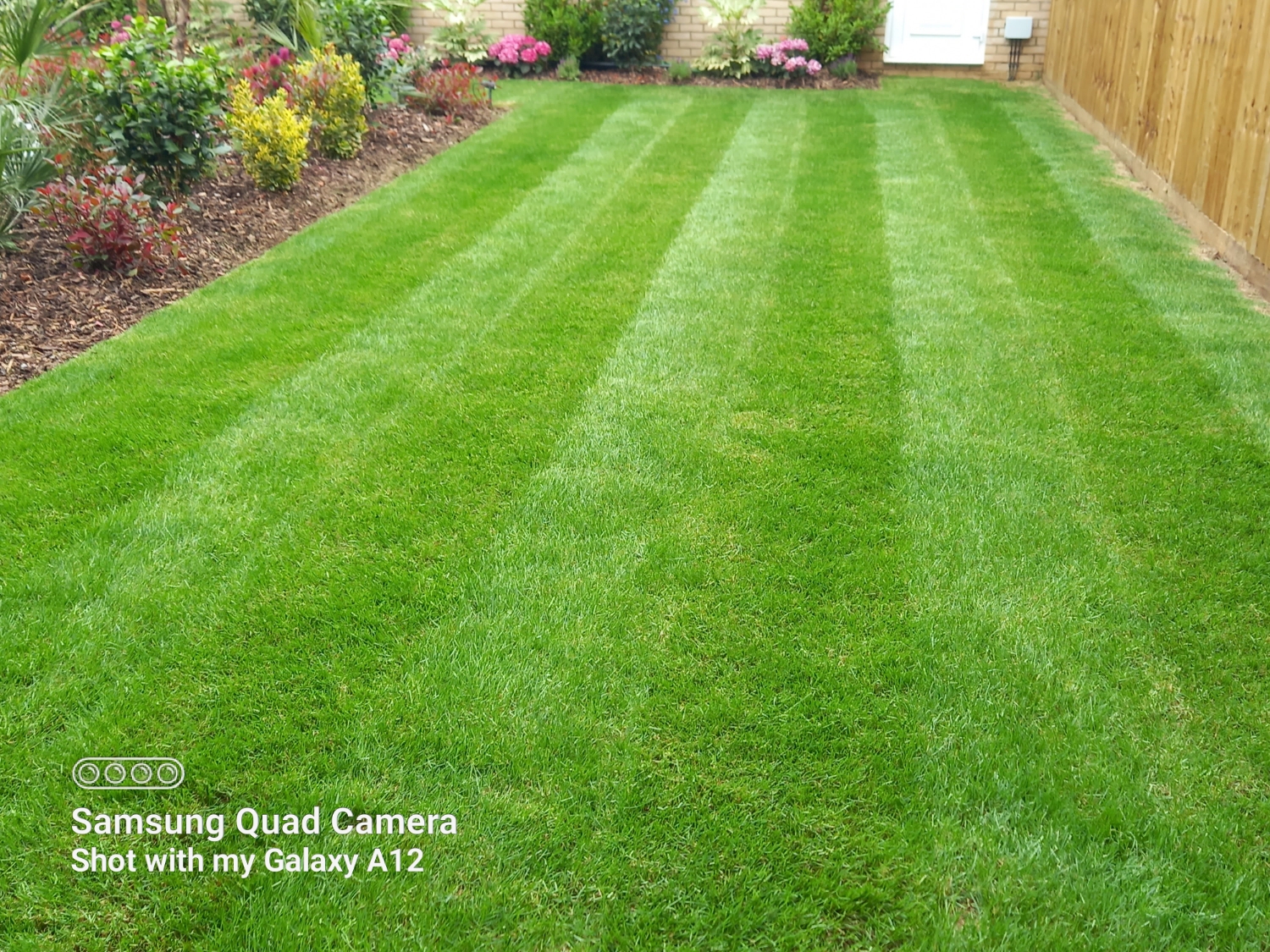 Ben's Garden Services work photo 3