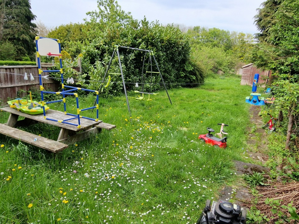 Josh's Garden Services work photo 4
