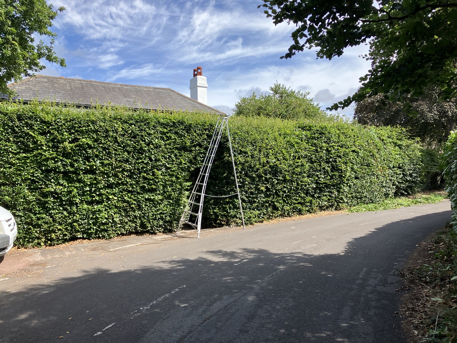 EH Landscaping & Tree Services work photo 3
