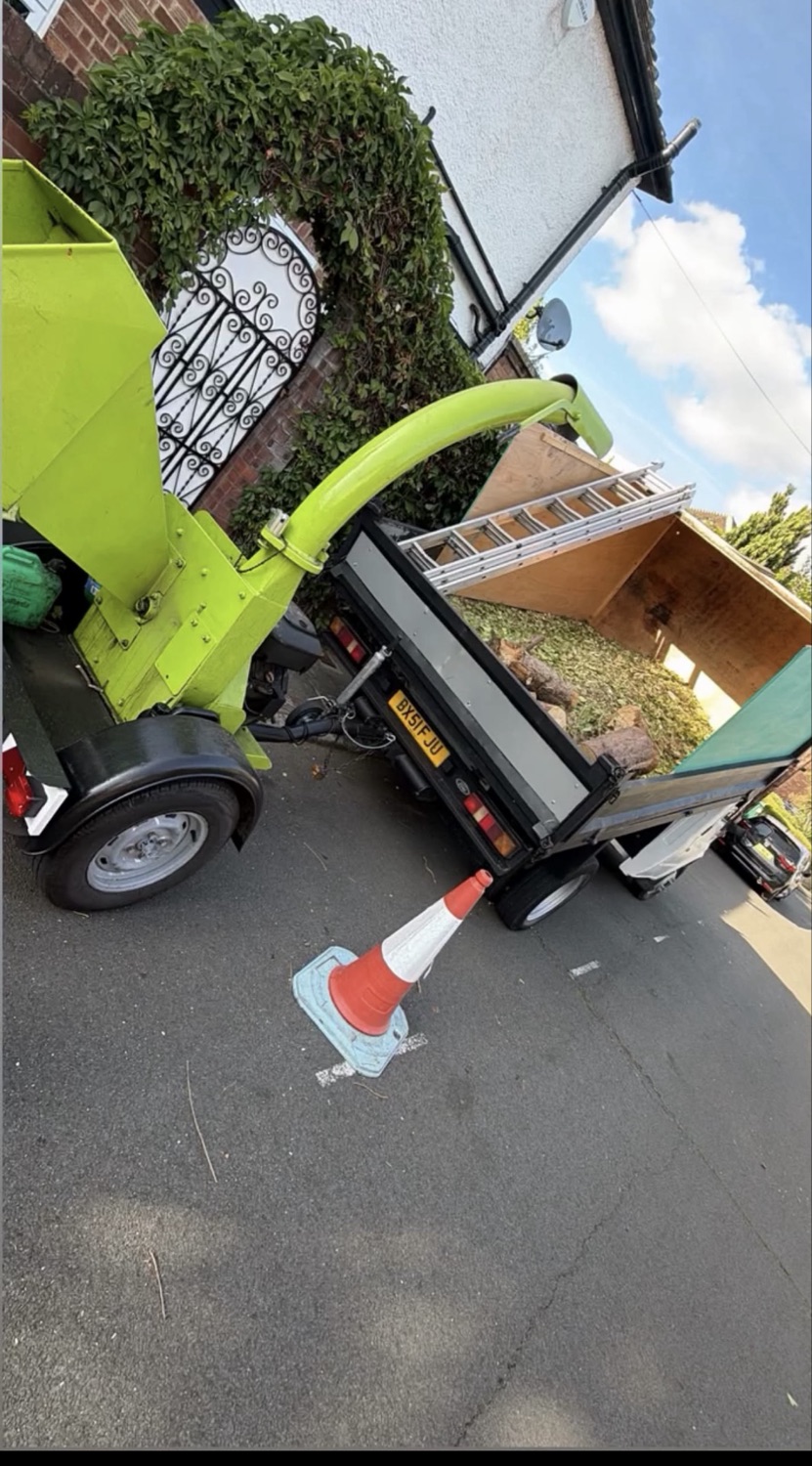 White City Tree Care LTD work photo 2