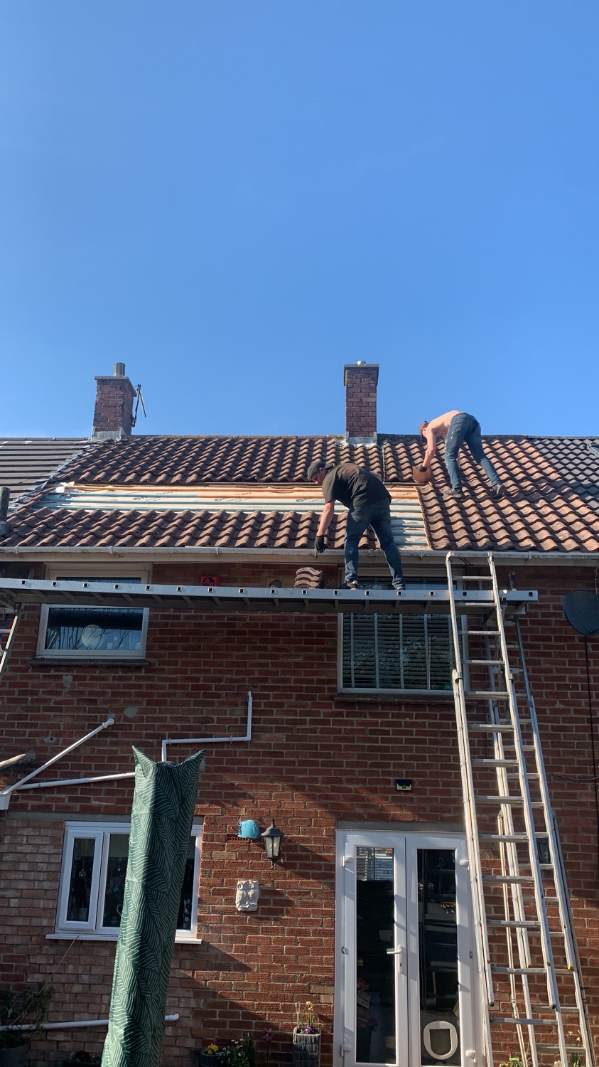 GUTTERMAN work photo 1