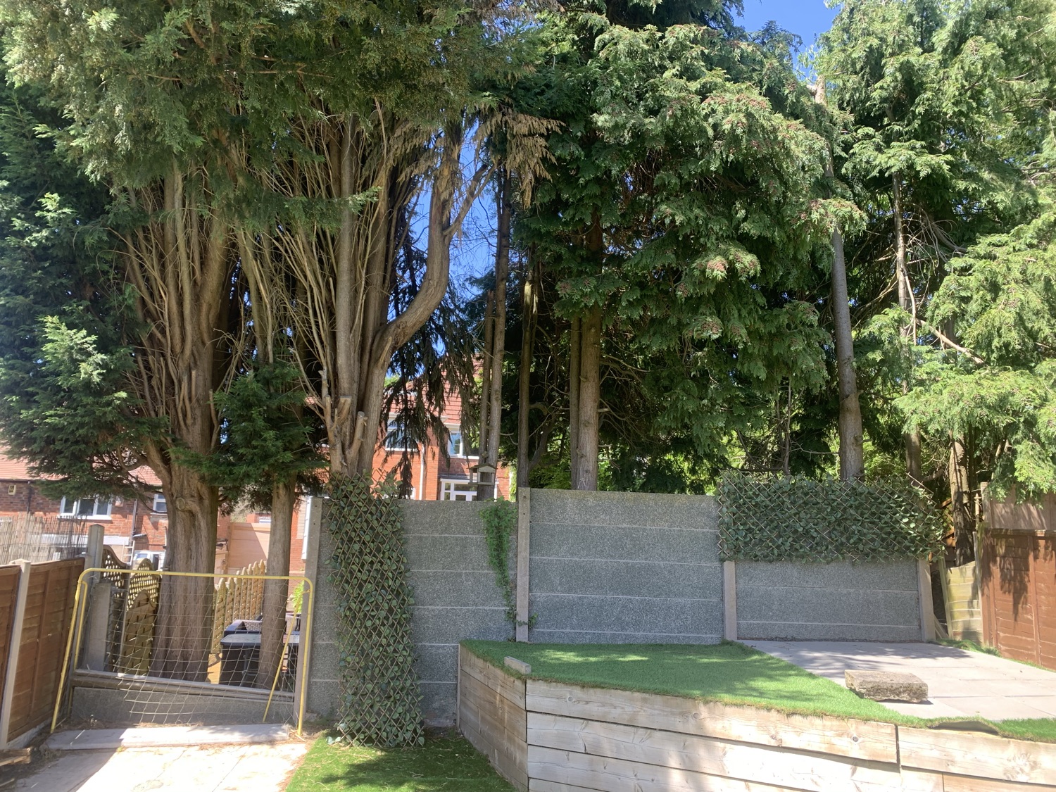Green Lawn Landscaping Maintenance work photo 2