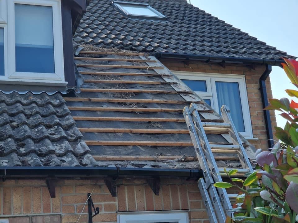 Advanced Roofing & Building Solutions work photo 4
