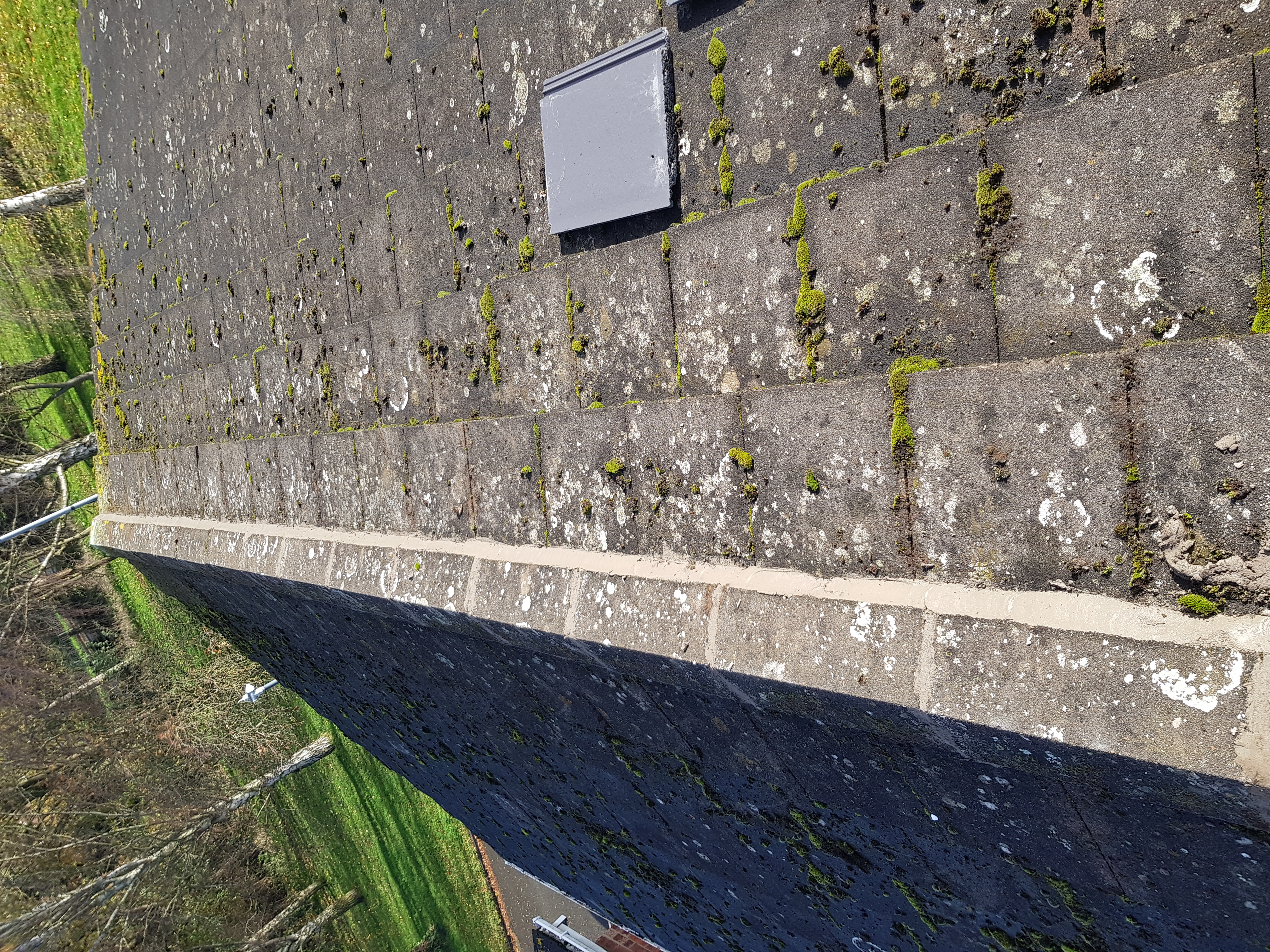 Home Pro Roofing & Building work photo 3
