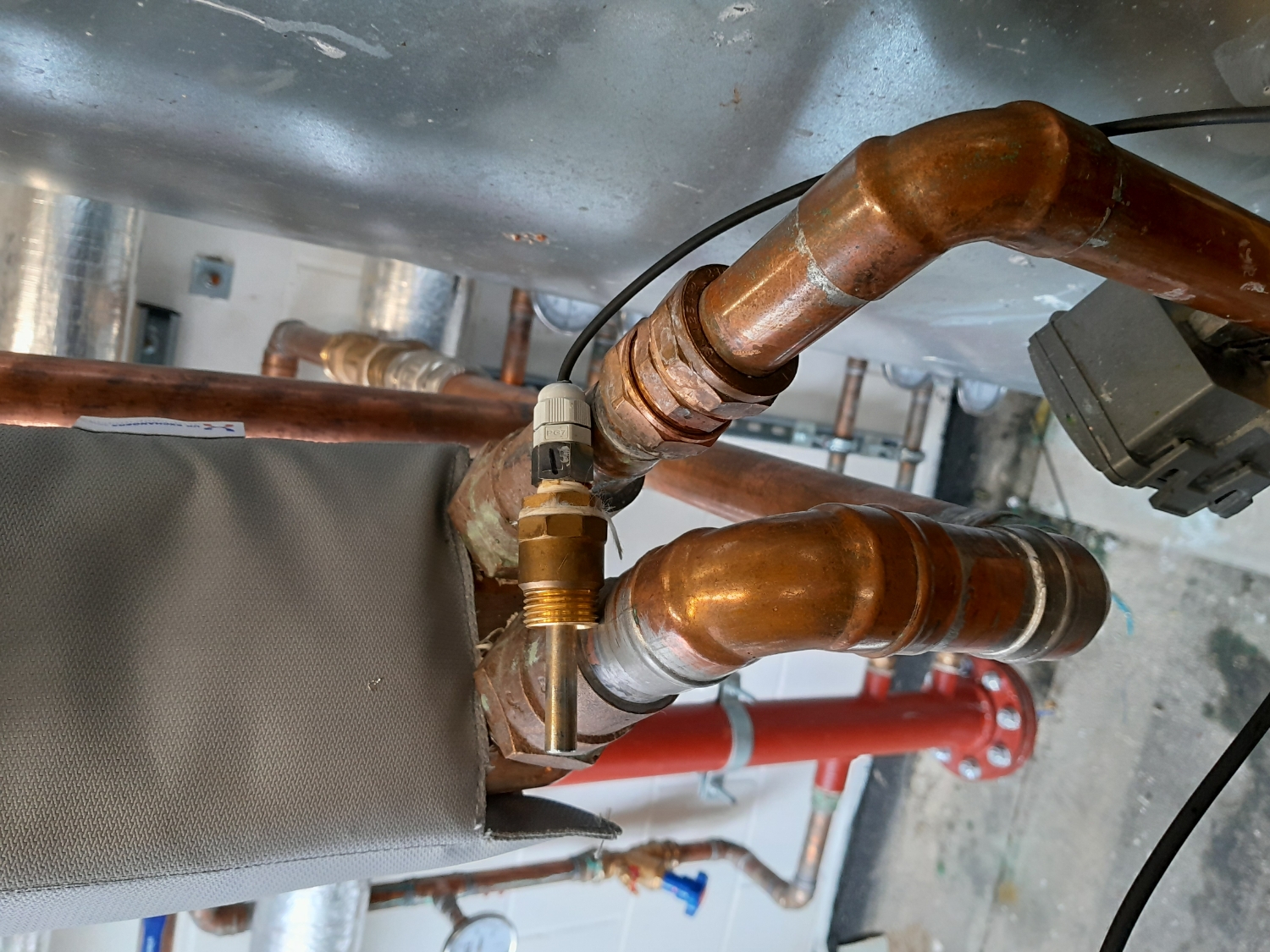 Petyo Petrov work photo 1