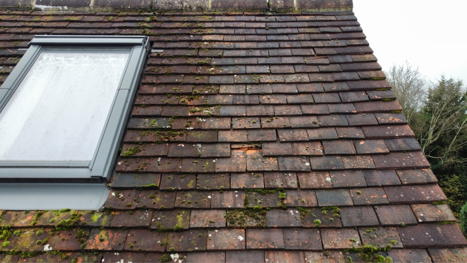 Pegasus stone LTD work photo 3