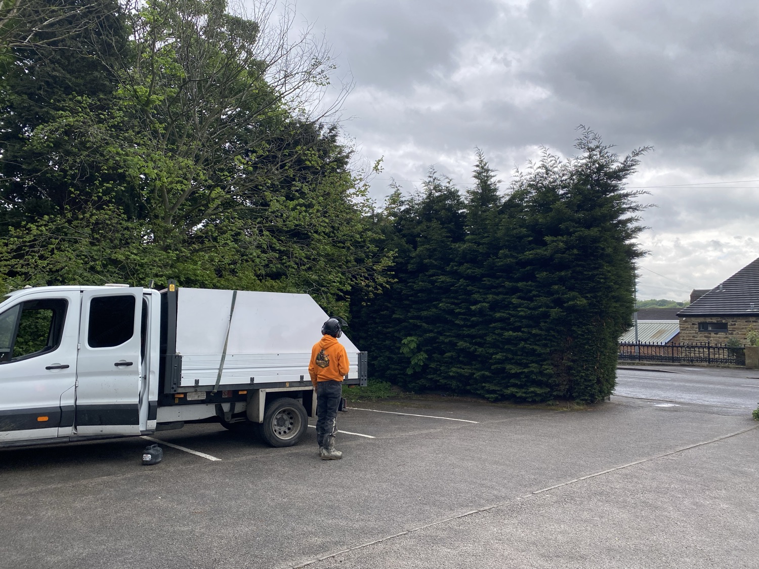 Birstall Trees & Landscaping Ltd work photo 4