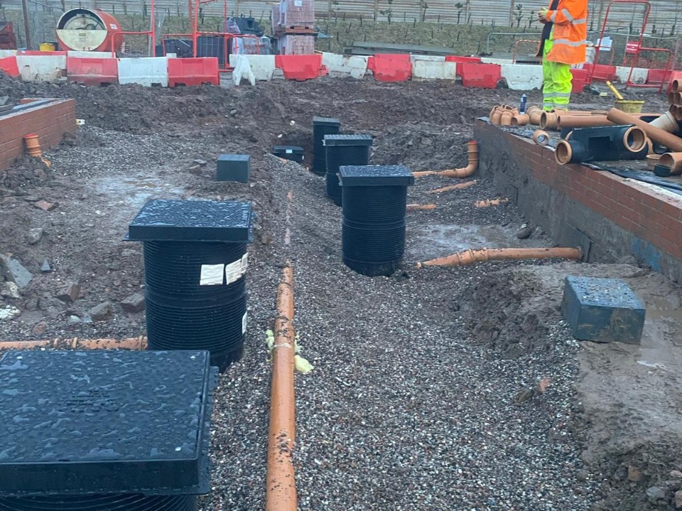 Bluedig work photo 3