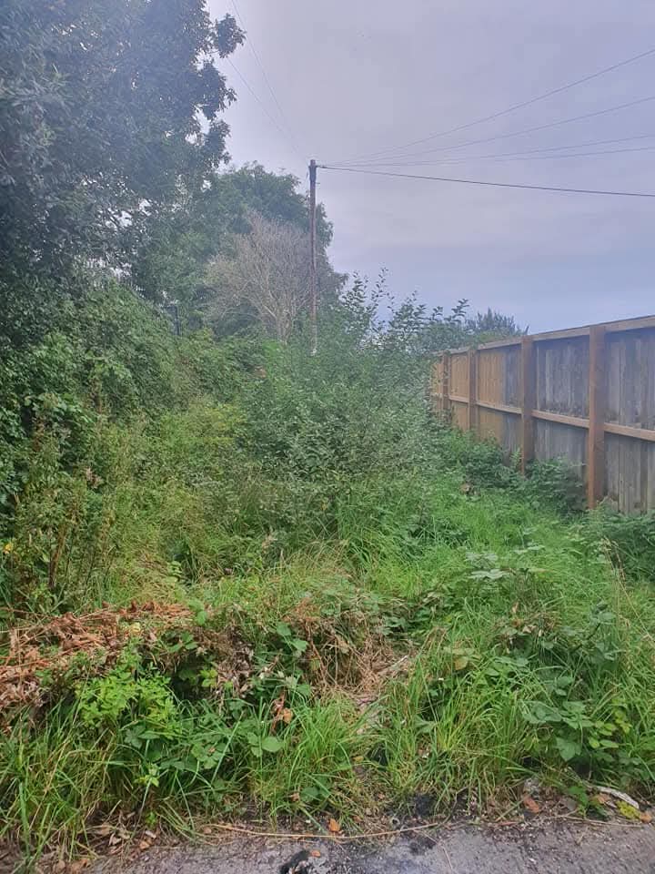 Pembs Maintenance work photo 2