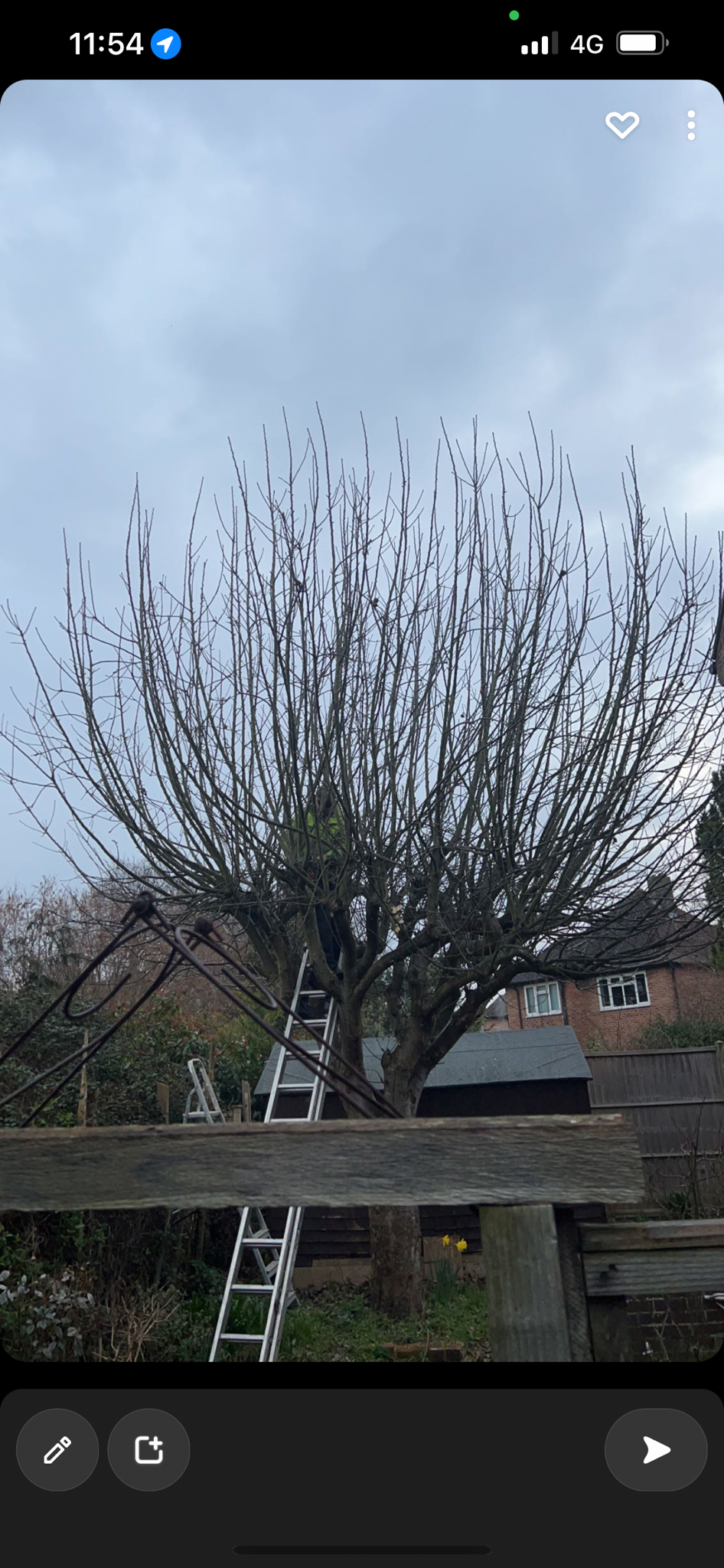 Work by Orchard Tree Surgeon