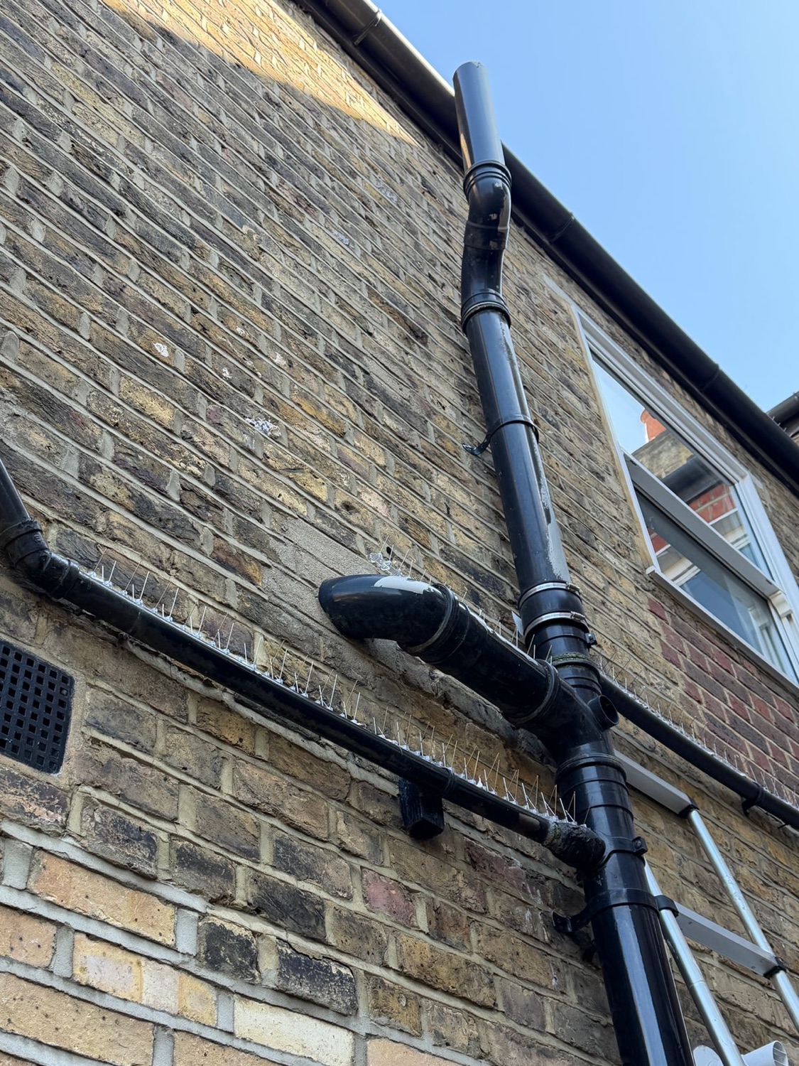 Swiftshield Pest Control work photo 1