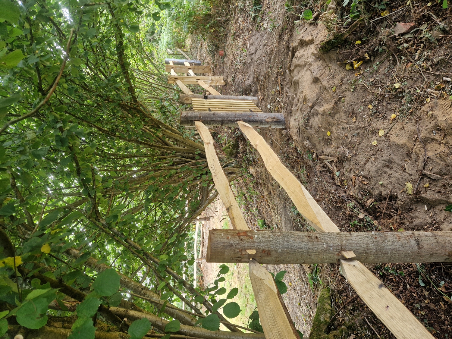 Handsome Homes and Gardens work photo 4