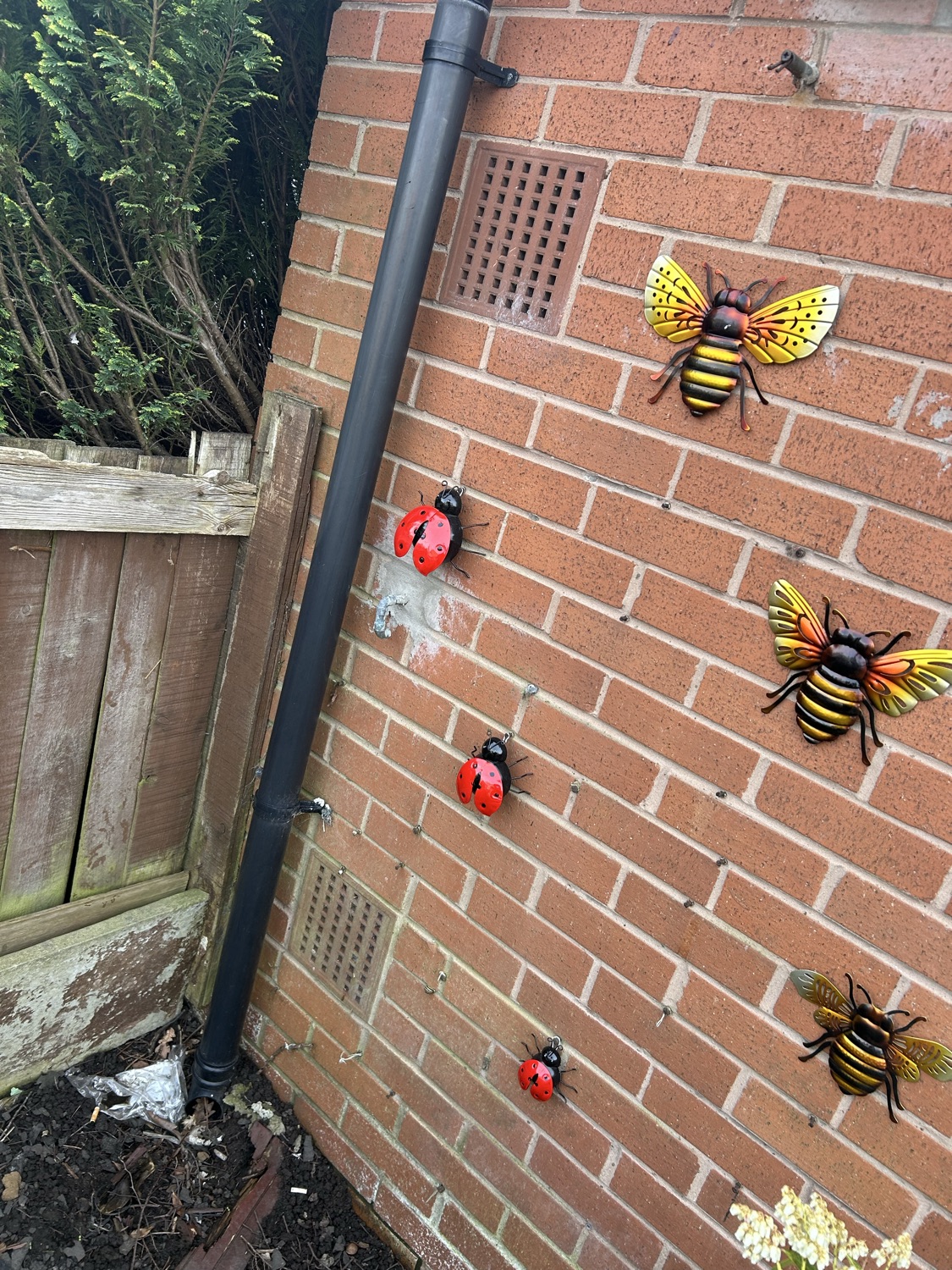 Bug A Pest Control work photo 2