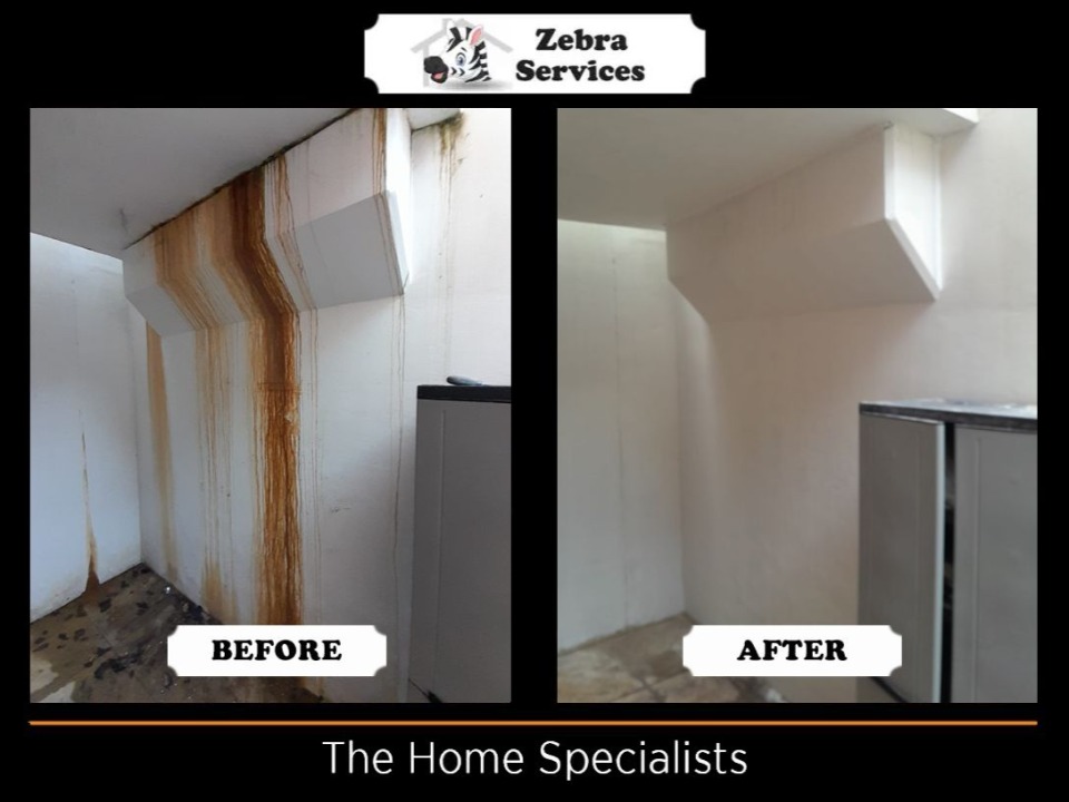 Zebra Services LTD work photo 4