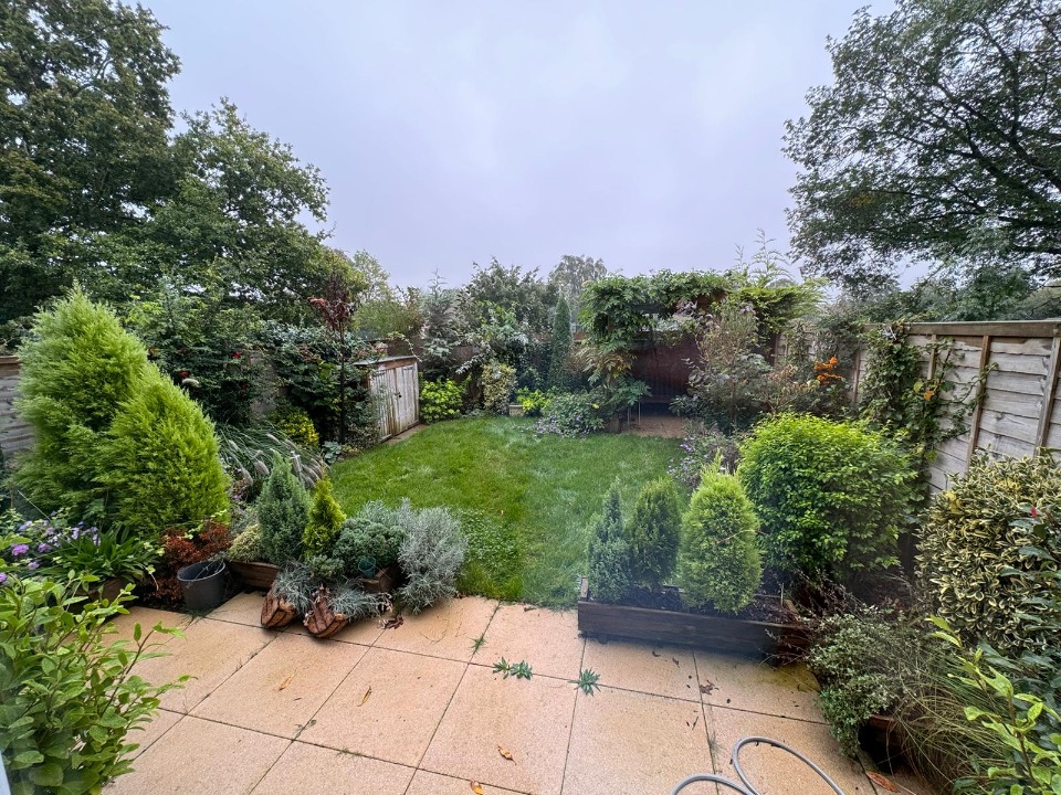 Arbotree & Landscapes work photo 4