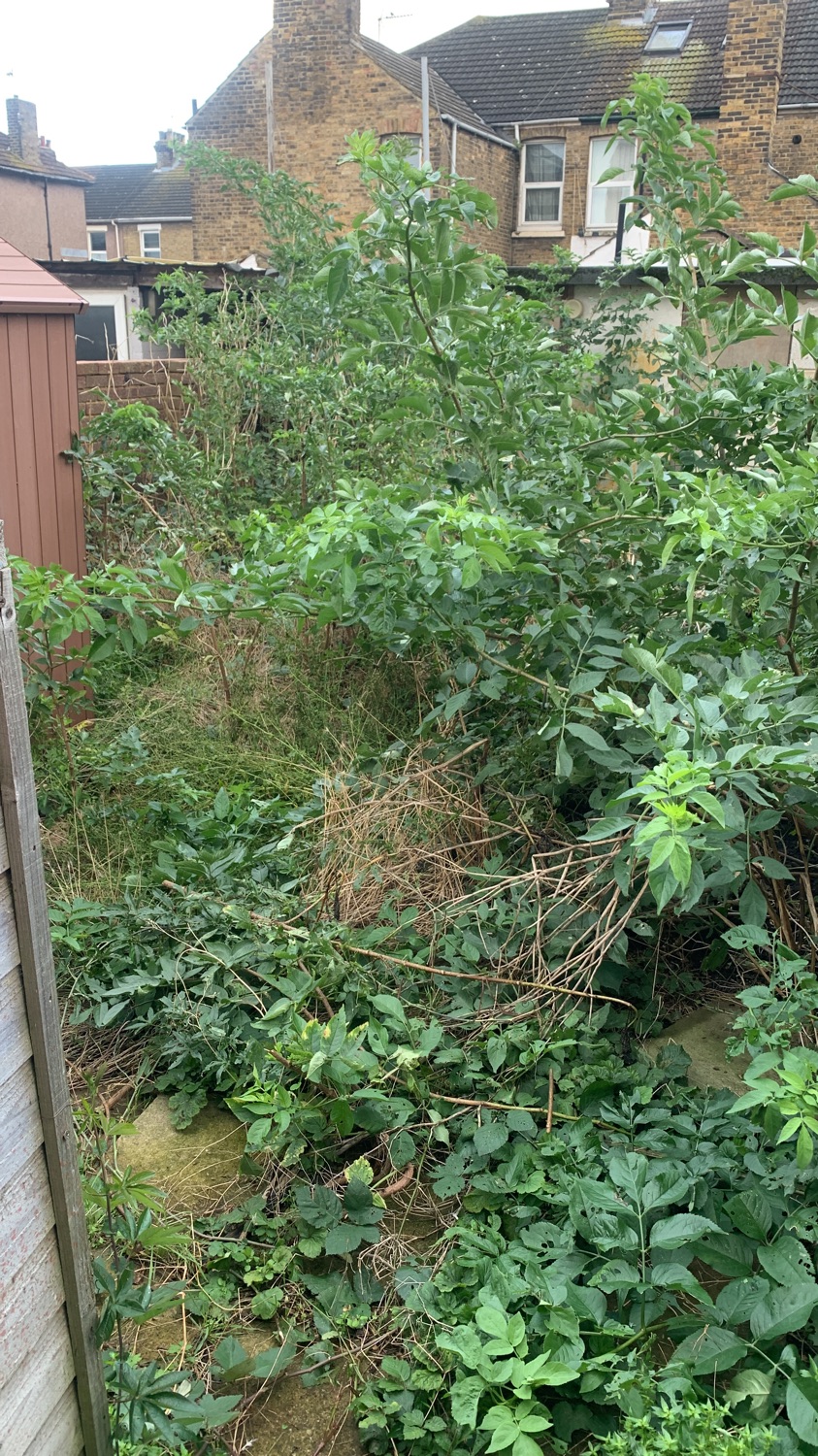 Landscapers Limited work photo 4