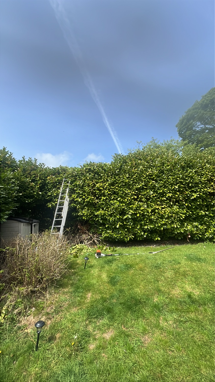 Four Seasons Tree & Gardening Services work photo 3