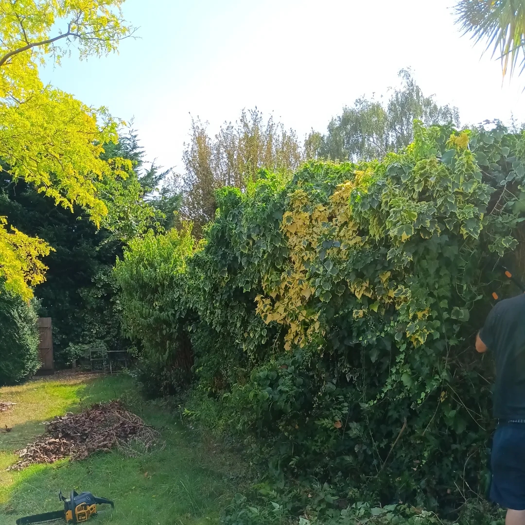 Dannyâs Property Services work photo 2