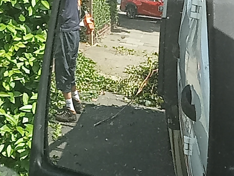B M Tree & Gardening Services work photo 1