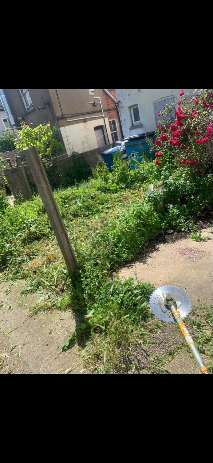 AMC Gardening & Handyman work photo 2