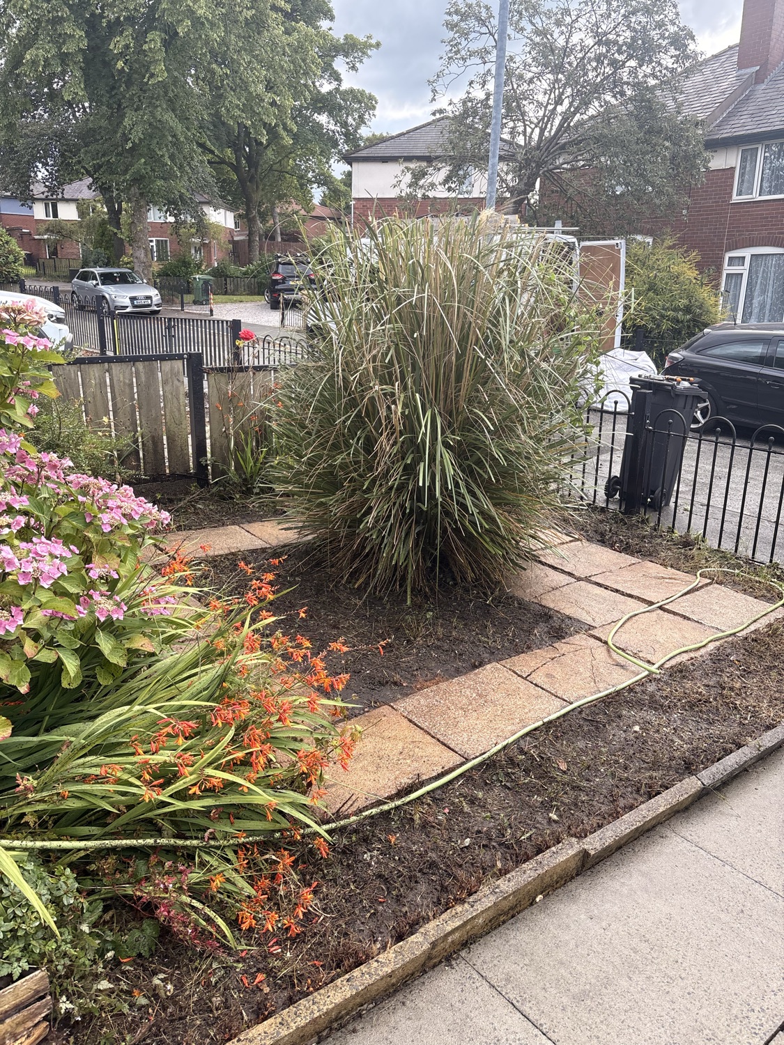 Pristine CLEANING & Gardening work photo 1