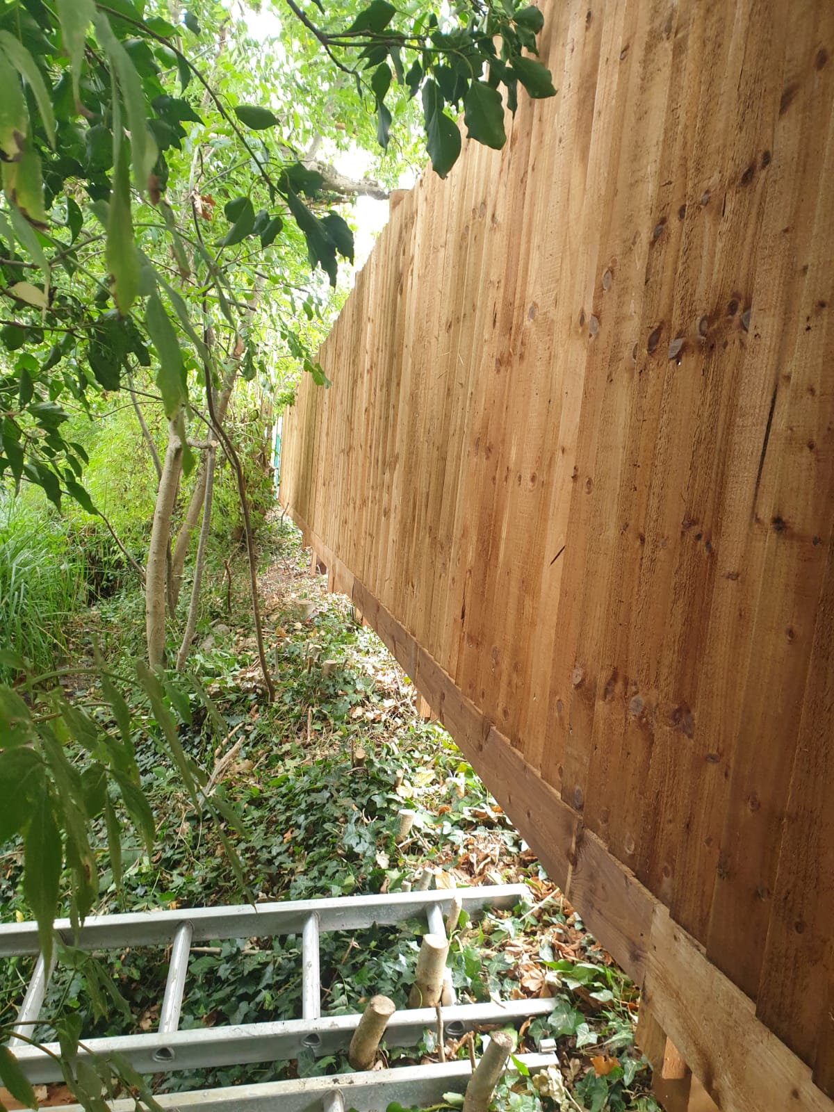 Midlandsgardening work photo 2