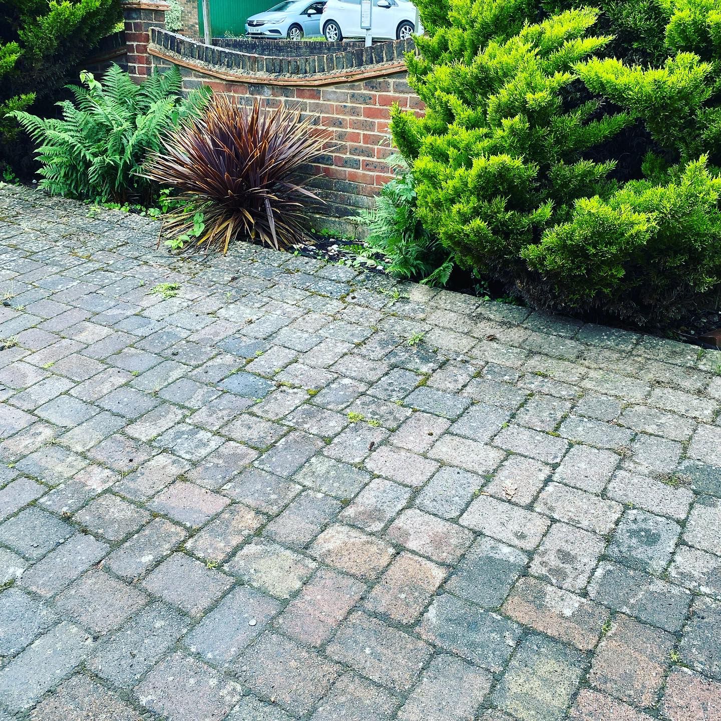 Always clear waste removal work photo 3