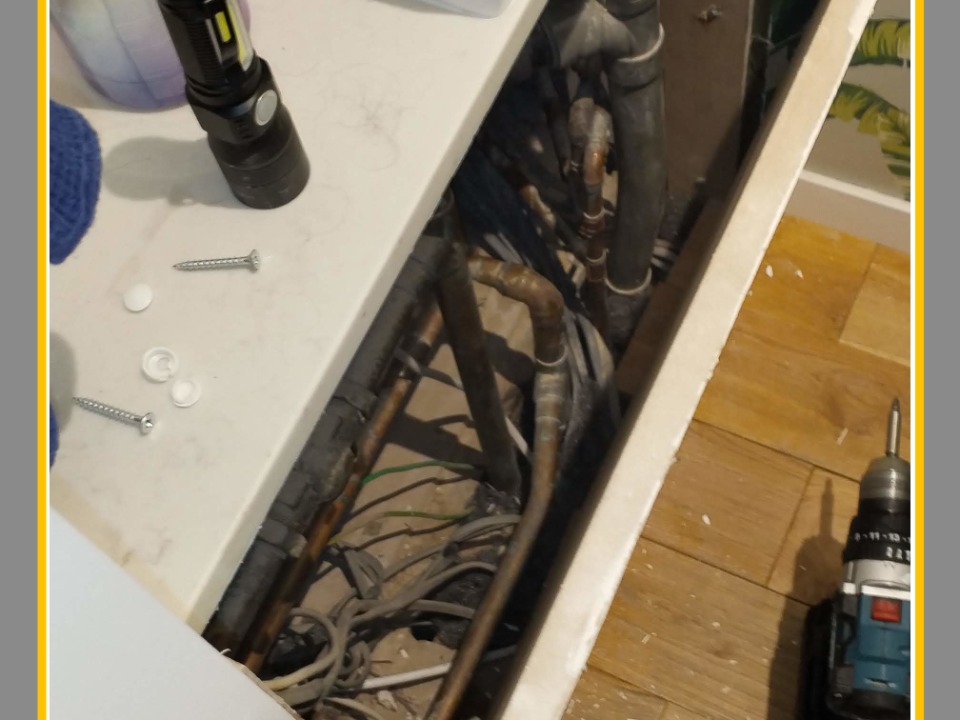 Merit Services Pest Control work photo 1