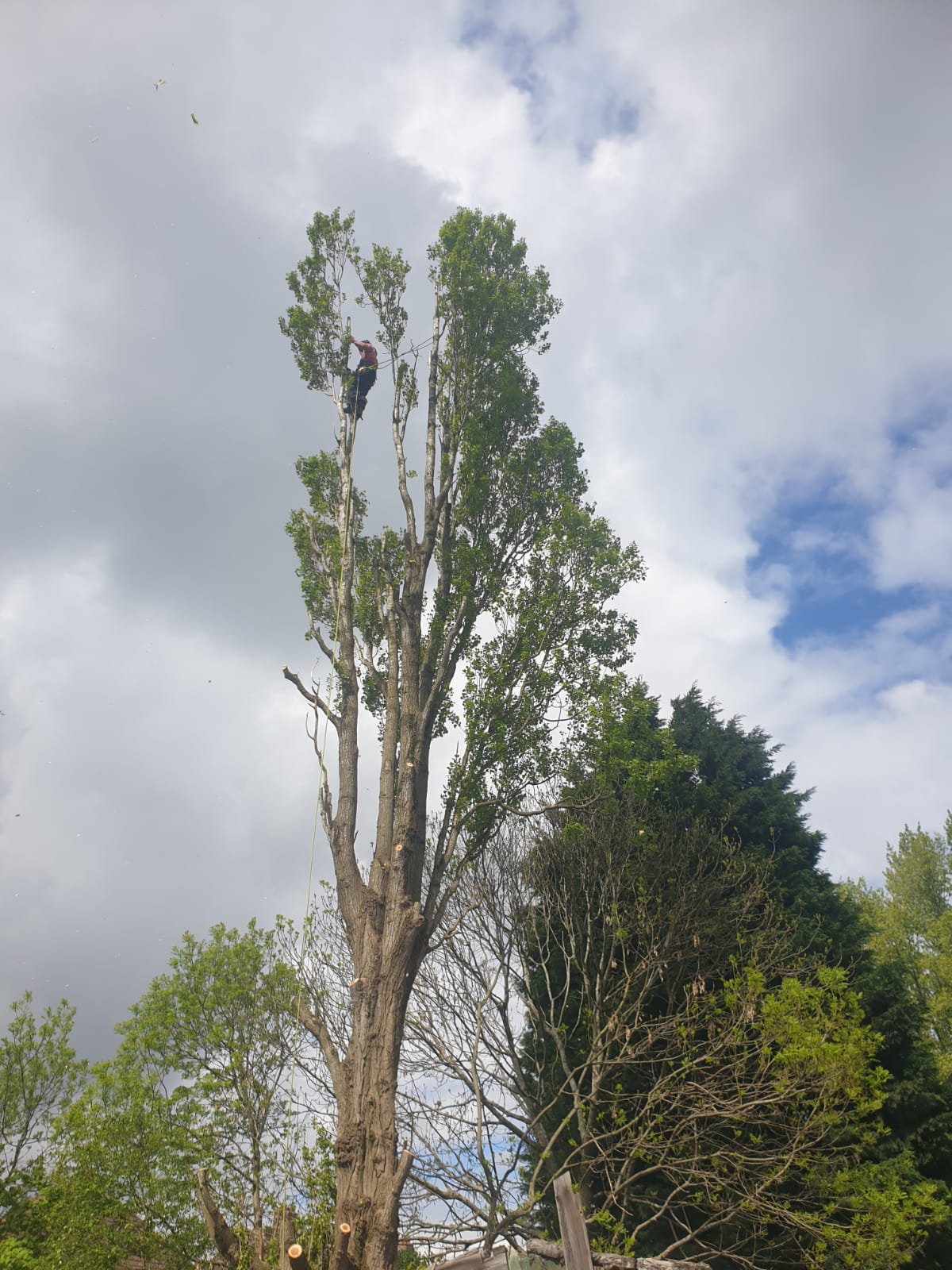 Midlandsgardening work photo 4