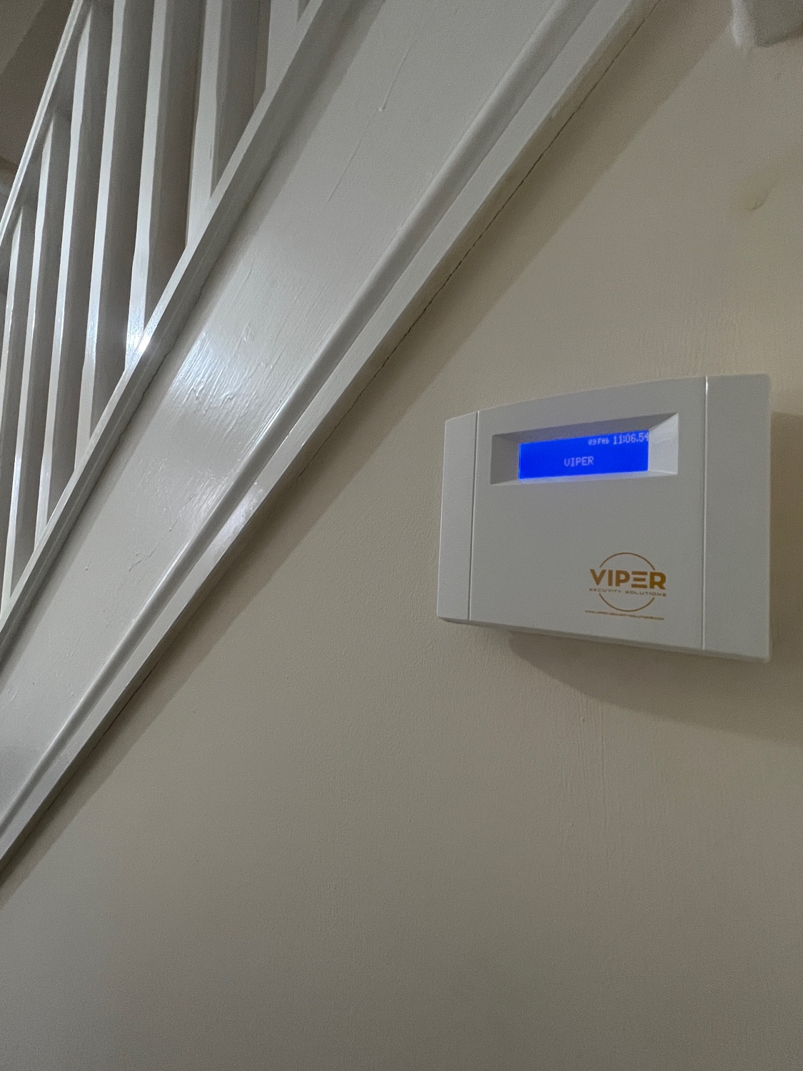 VIPER Security Solutions work photo 2