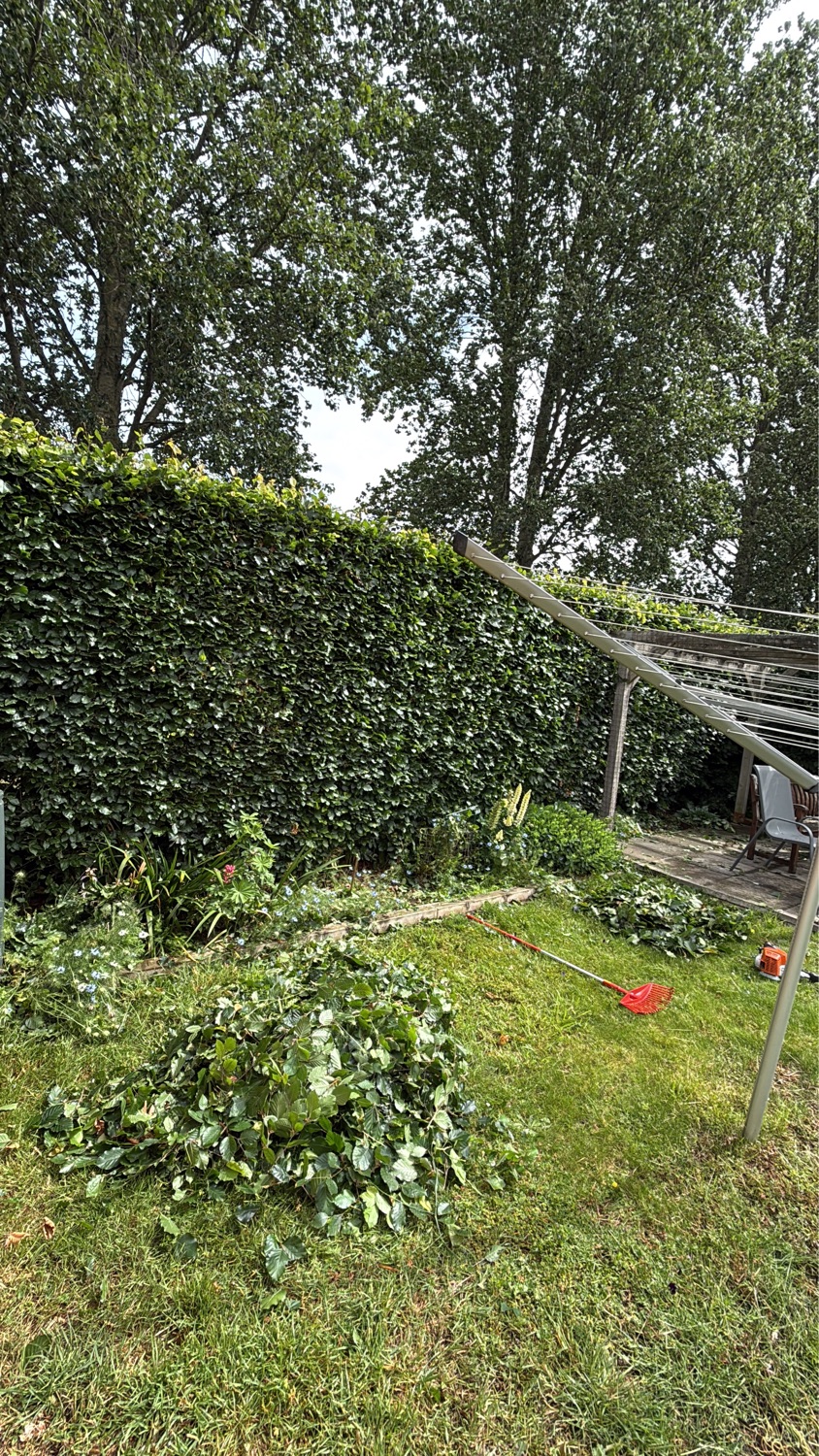 Four Seasons Tree & Gardening Services work photo 4