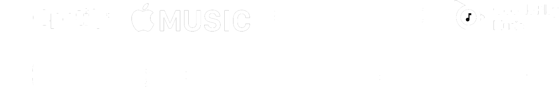 Logos of stores iMusician works with