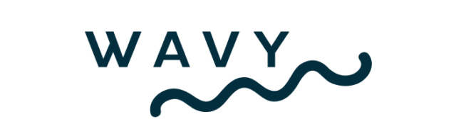 Wavy Logo white background with dark blue wave-shaped line underneath