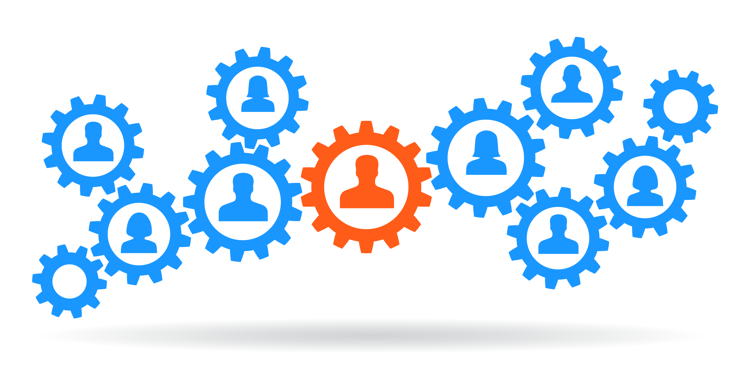 Facilitating can help elicit valuable contributions from all team members!