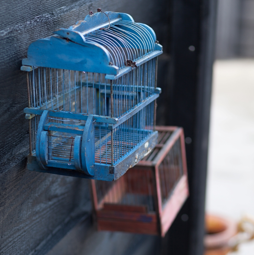 Vogelkooitjes aan de muur in de tuin