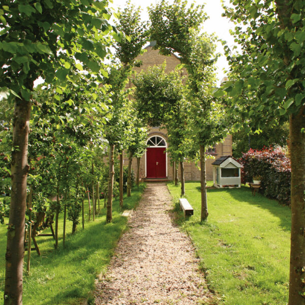 Looppaadje naar de ingang met bomen langs de kant