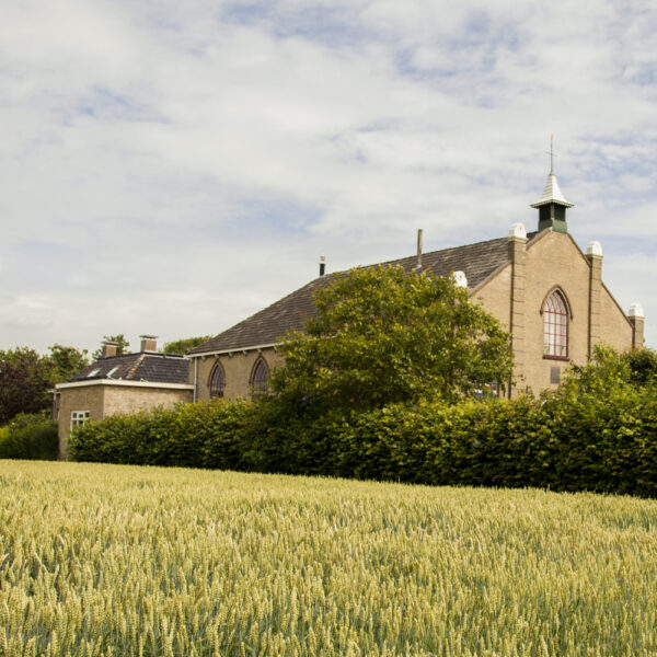 De kraak van Dam achter de bomen en struiken