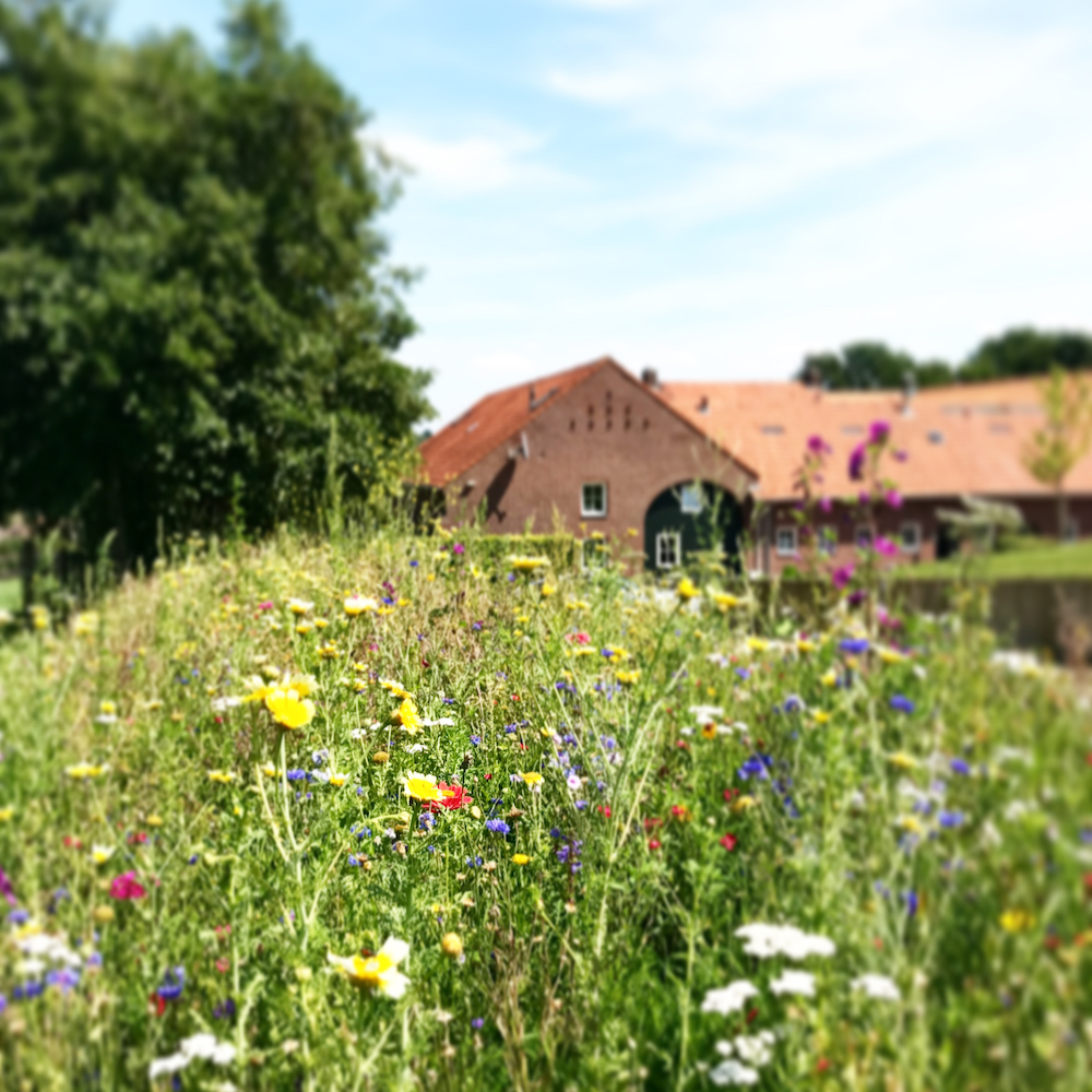 Een karakteristieke Zuid-Limburgse hoeve met luxe vakantie-appartementen.
