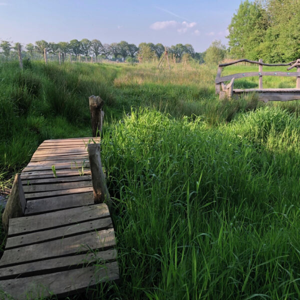 Wandelpad door de weilanden met houten vlonders