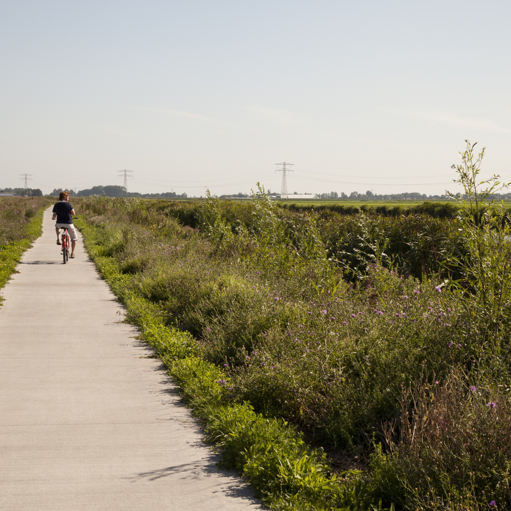 Man fietst langs een veld op een pad van asfalt