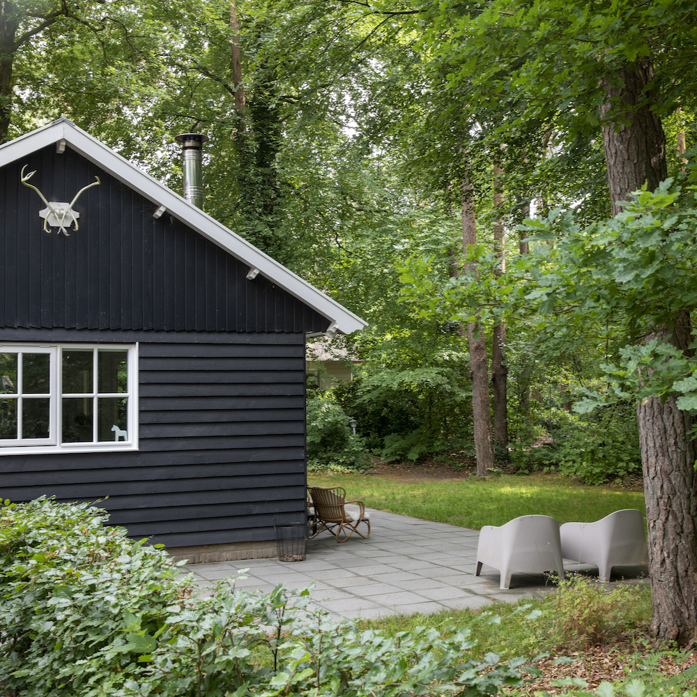 Vakantiehuis midden in het bos van Appelscha