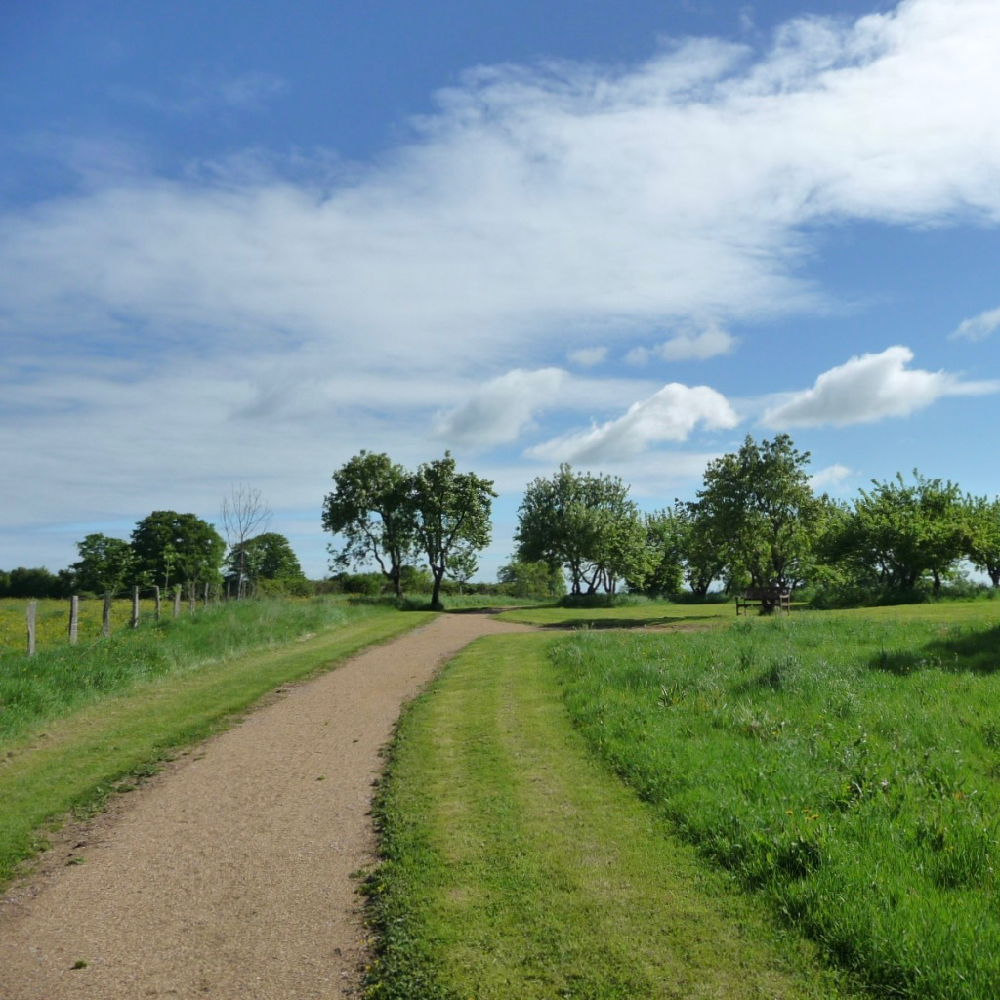 Een lange oprijlaan met aan weerszijden gras