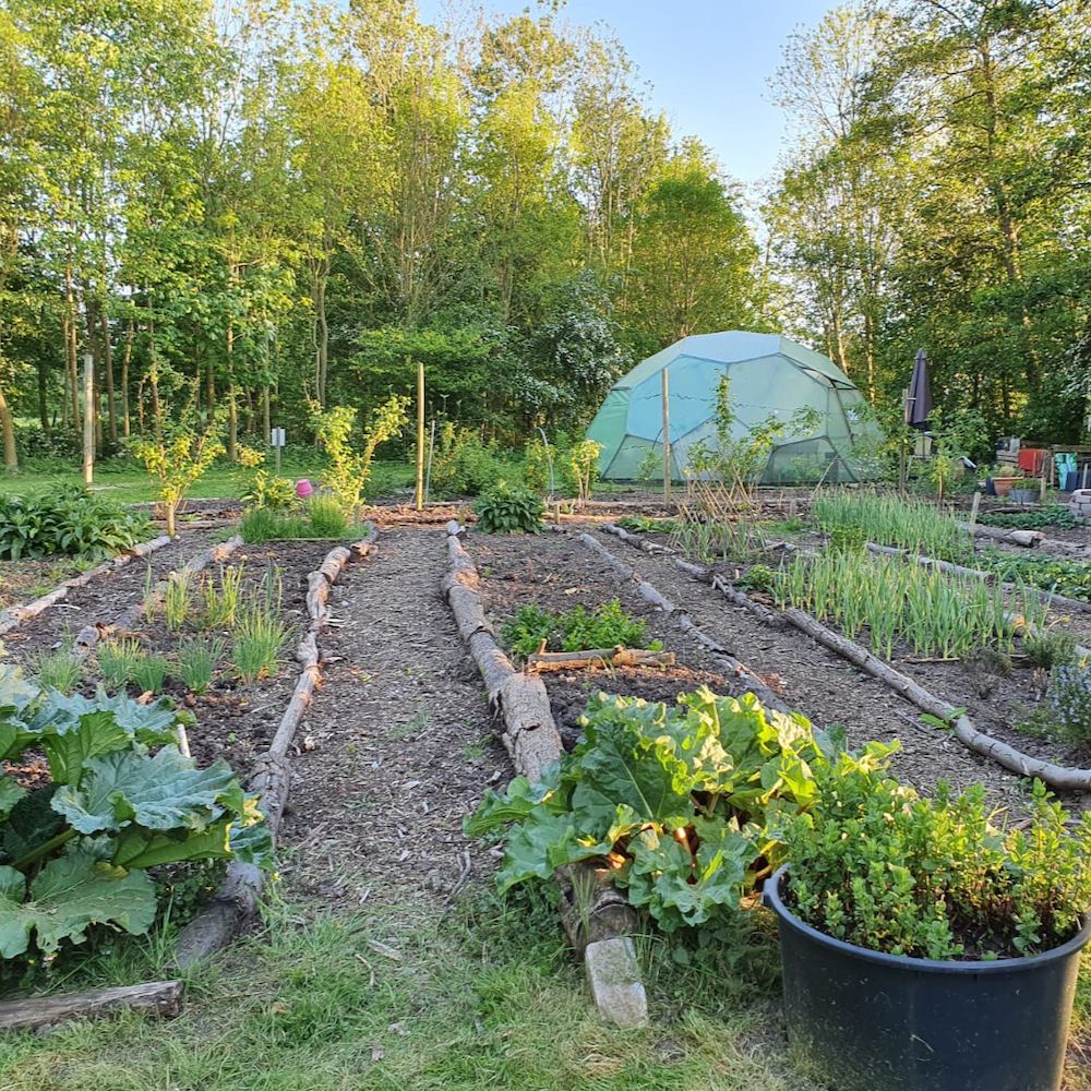 De moestuin van de Vreemde Vogel in Vlaardingen