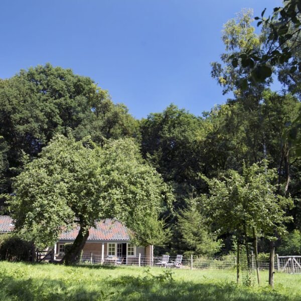 Vakantiehuisjes in het bos in Berg en Dal