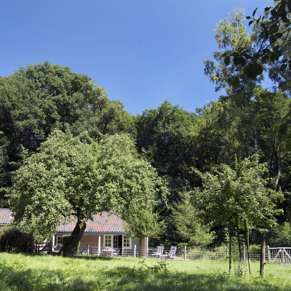 Vakantiehuisjes in het bos in Berg en Dal